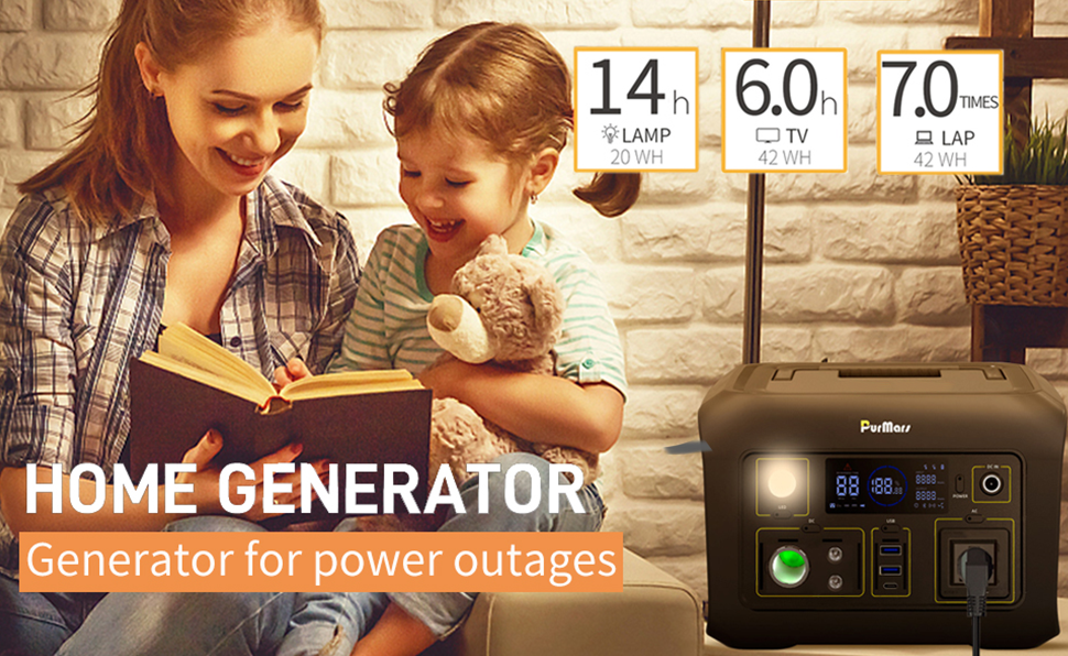 Portable Power Station P300|300W