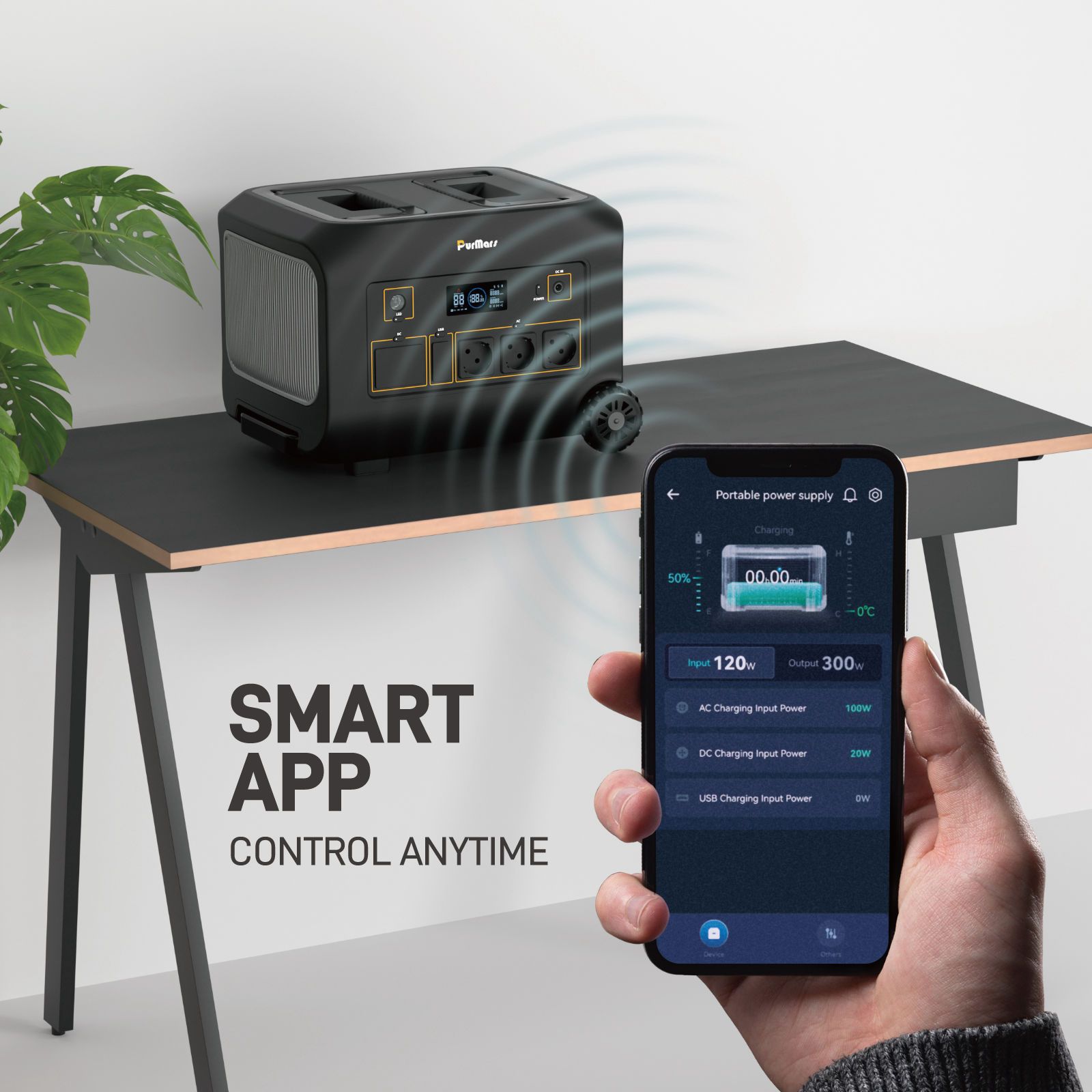 Portable power station function detail